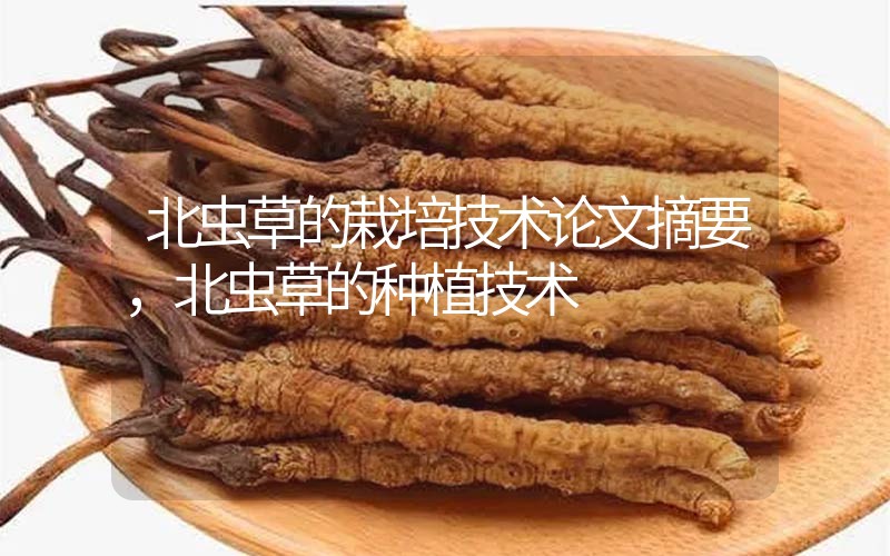 北蟲草的栽培技術(shù)論文摘要，北蟲草的種植技術(shù)