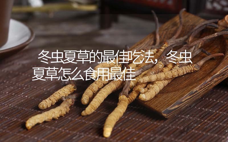 冬蟲夏草的最佳吃法，冬蟲夏草怎么食用最佳