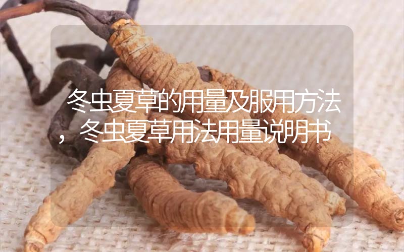 冬蟲夏草的用量及服用方法，冬蟲夏草用法用量
