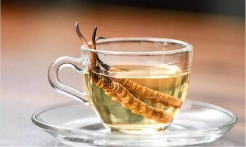 冬蟲夏草怎么吃最好？冬蟲夏草最佳的吃法