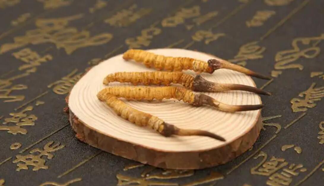 冬蟲夏草小孩子能吃嗎?