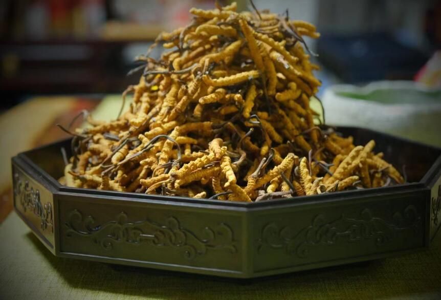 <a href=http://www.jasw8.com/ target=_blank class=infotextkey>冬蟲(chóng)夏草</a>