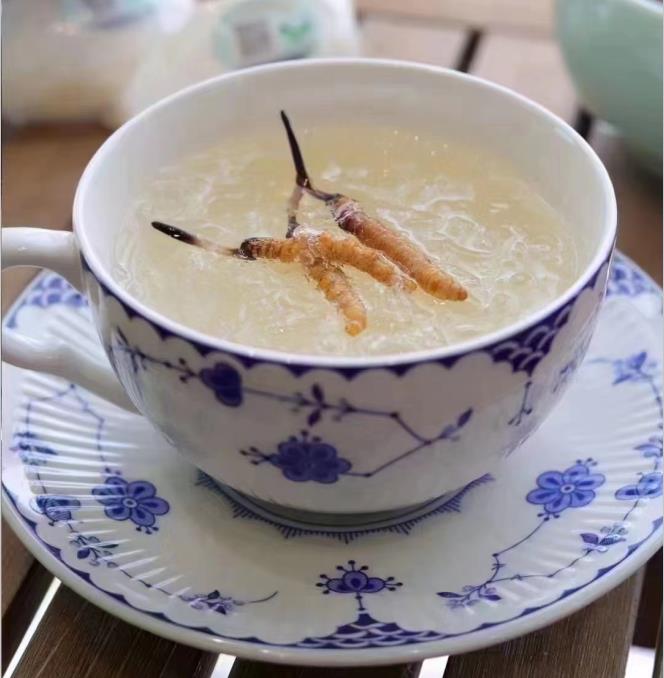 養(yǎng)生小竅門：冬蟲夏草燉什么好喝？