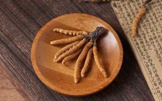 新鮮冬蟲夏草和干草有什么區(qū)別？