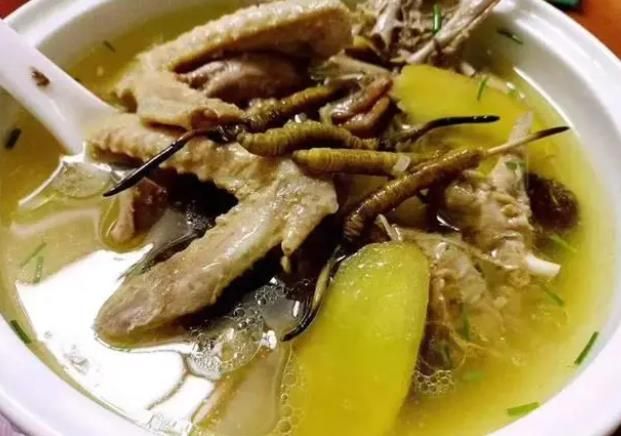 冬蟲夏草和哪些食材可以一起煲湯？