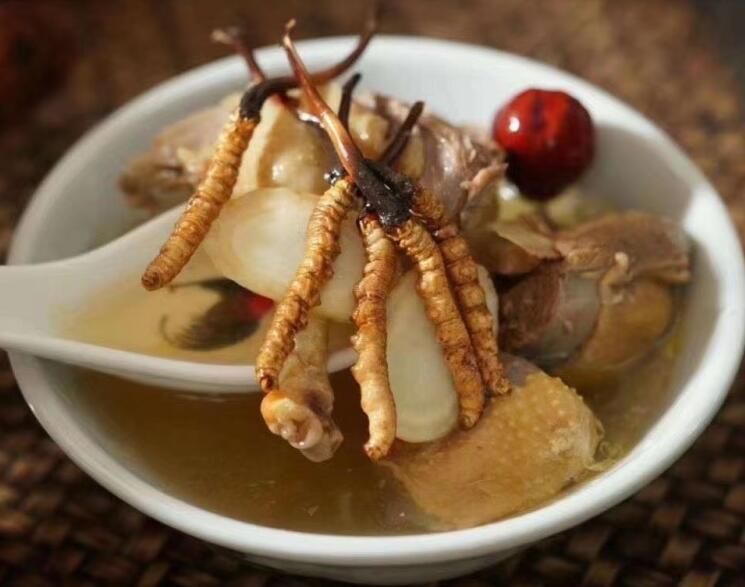 冬蟲夏草可以空腹吃嗎？