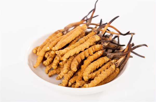 冬蟲夏草和夾脊魚搭配怎么吃？