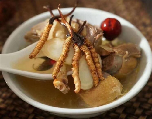 燉冬蟲夏草可以加枸杞嗎？