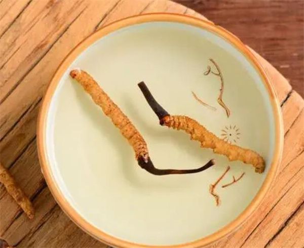 冬蟲(chóng)夏草可以泡水喝嗎？冬蟲(chóng)夏草泡水的步驟