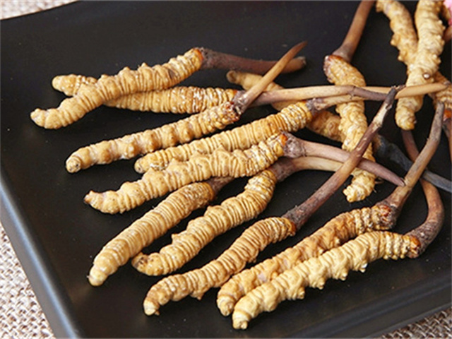 真的冬蟲夏草什么價格？影響冬蟲夏草價格波動的3個關鍵因素