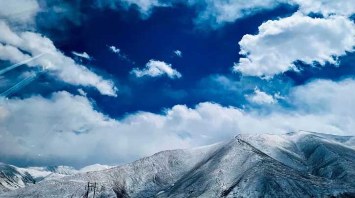 冬蟲(chóng)夏草：高原秘境中的自然瑰寶與現(xiàn)代健康探索