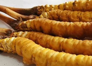 <a href=http://www.jasw8.com/sdph/zf/ target=_blank class=infotextkey>珍峰冬蟲夏草</a>主要的銷售模式