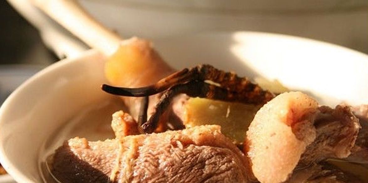 冬蟲夏草怎么吃？多種食用方法全解析