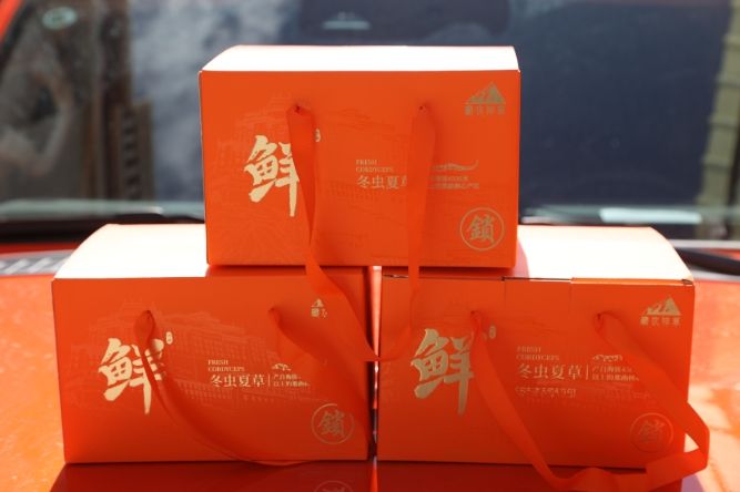 當(dāng)冬蟲夏草邂逅橘色包裝：奢華與文化的交融