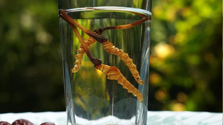 <a href=http://www.jasw8.com/xinxian/ target=_blank class=infotextkey>鮮冬蟲夏草</a>怎么泡好吃？這些配方讓滋補更有滋味