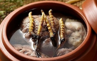 鮮冬蟲(chóng)夏草吃多會(huì)上火嗎？一文解析真相
