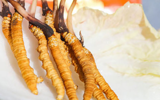 冬蟲夏草鮮草一般哪里有？多渠道獲取指南