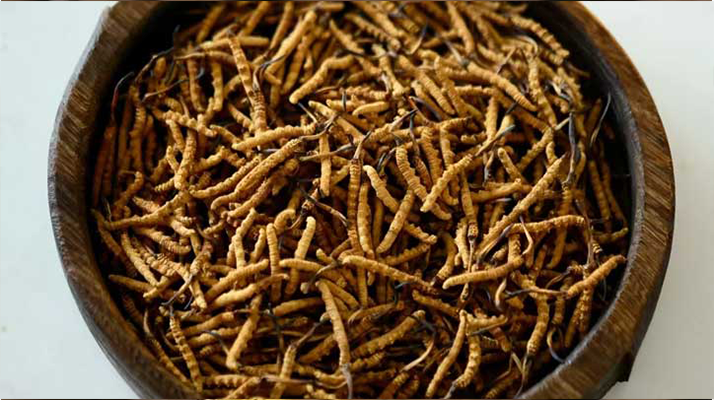 <a href=http://www.jasw8.com/jiage/ target=_blank class=infotextkey>冬蟲夏草價(jià)格</a>探秘：多因素交織下的市場(chǎng)行情