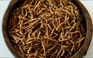 冬蟲夏草價(jià)格探秘：多因素交織下的市場(chǎng)行情