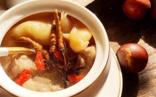 冬蟲夏草與什么泡水喝？養(yǎng)生搭配指南