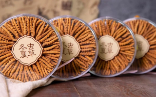 同仁堂冬蟲(chóng)夏草禮盒：珍稀饋贈(zèng)，品質(zhì)之選