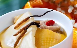 冬蟲(chóng)夏草用多少度水溫泡