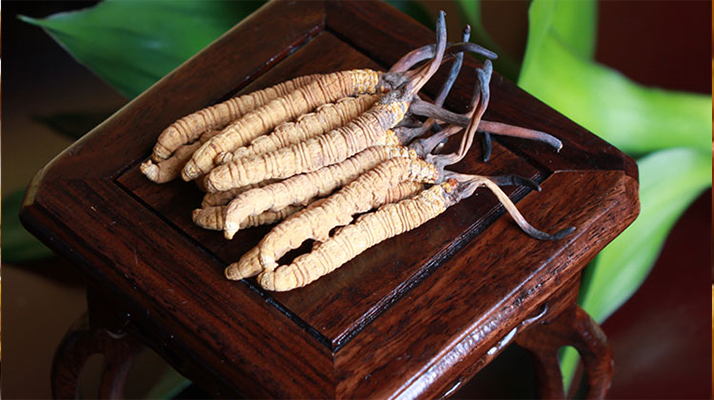 怎樣鑒別<a href=http://www.jasw8.com/tag/6.html target=_blank class=infotextkey>冬蟲夏草的產(chǎn)地</a>