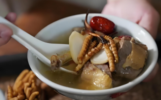 化療服用冬蟲夏草有用嗎