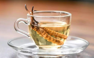 冬蟲(chóng)夏草怎樣泡酒最好