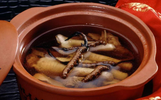 糖尿病可服用冬蟲夏草嗎？科學解析其調(diào)理價值與注意事項