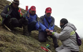 冬蟲夏草：把握最佳采摘季，守護(hù)自然饋贈(zèng)