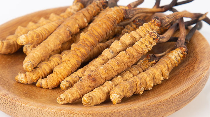 冬蟲(chóng)夏草，真有那么大效果？