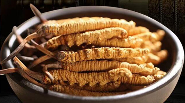 冬蟲(chóng)夏草食用方法與用量指南：科學(xué)滋補(bǔ)的關(guān)鍵把控