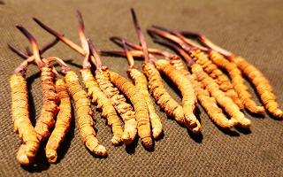 抖音上的冬蟲(chóng)夏草能買(mǎi)嗎？謹(jǐn)慎抉擇，理性消費(fèi)