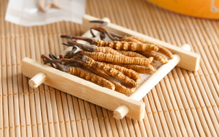 冬蟲夏草可以干燥存放嗎？科學(xué)儲存方法與注意事項