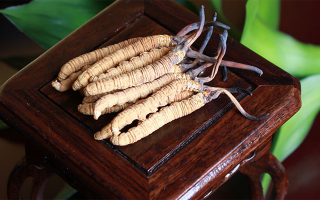 探秘長期收購冬蟲夏草的買家：市場(chǎng)脈絡(luò)中的關(guān)鍵角色