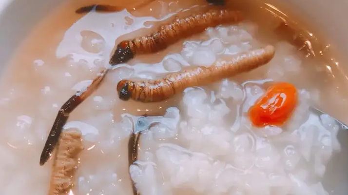 冬蟲夏草適合哪些人群？精準(zhǔn)匹配與禁忌提醒