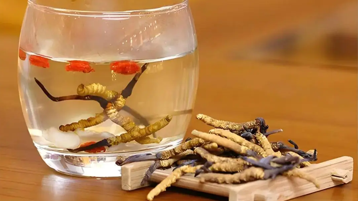 長(zhǎng)期喝冬蟲夏草泡水好嗎？科學(xué)分析與飲用指南