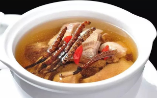 冬蟲夏草怎樣燉是最好的？掌握這幾步，營(yíng)養(yǎng)不流失還美味