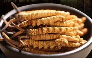 冬蟲夏草效果好不好用？科學(xué)與實踐視角下的全面解析