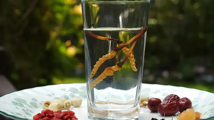 冬蟲(chóng)夏草能空腹泡水喝嗎