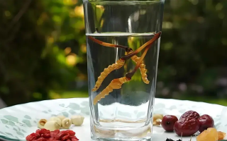 冬蟲(chóng)夏草能空腹泡水喝嗎？不同人群需區(qū)別對(duì)待