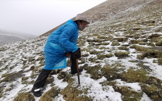 西藏挖冬蟲(chóng)夏草在什么時(shí)候？產(chǎn)區(qū)與時(shí)間全攻略