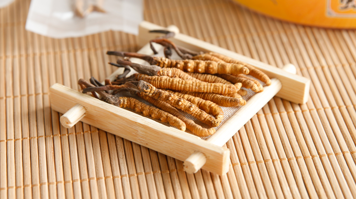 小孩多大可以喝冬蟲夏草？ 