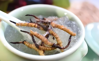 十根冬蟲夏草能泡幾斤酒？泡酒比例與細節(jié)指南