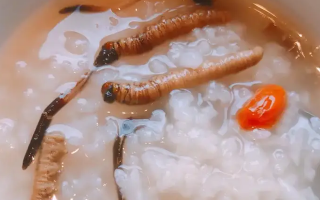東強堂科普：冬蟲夏草煮粥的步驟