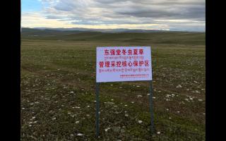 高原之上，蟲草共生；守護生態(tài)，東強堂與你同行