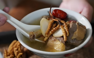  冬蟲夏草和什么食材搭配煲湯比較好？