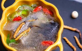 那曲冬蟲夏草辨別全指南｜教你避開市場陷阱，認(rèn)準(zhǔn)正宗珍品