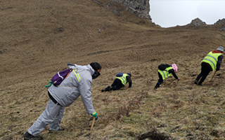深耕那曲雪域，甄選正宗好草——2026那曲冬蟲夏草優(yōu)質(zhì)品牌盤點